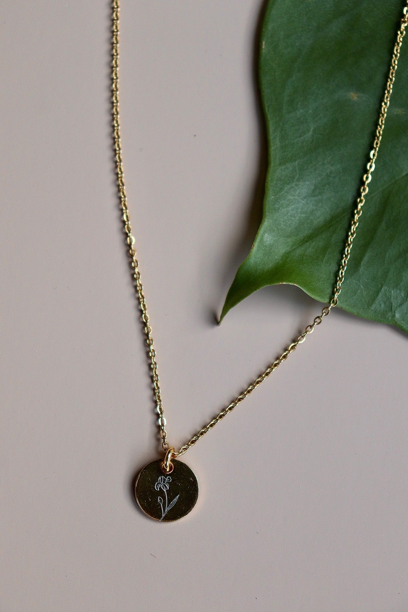 Februari / iris